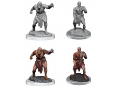 D&D Nolzur's Marvelous Miniatures: Flesh Golems